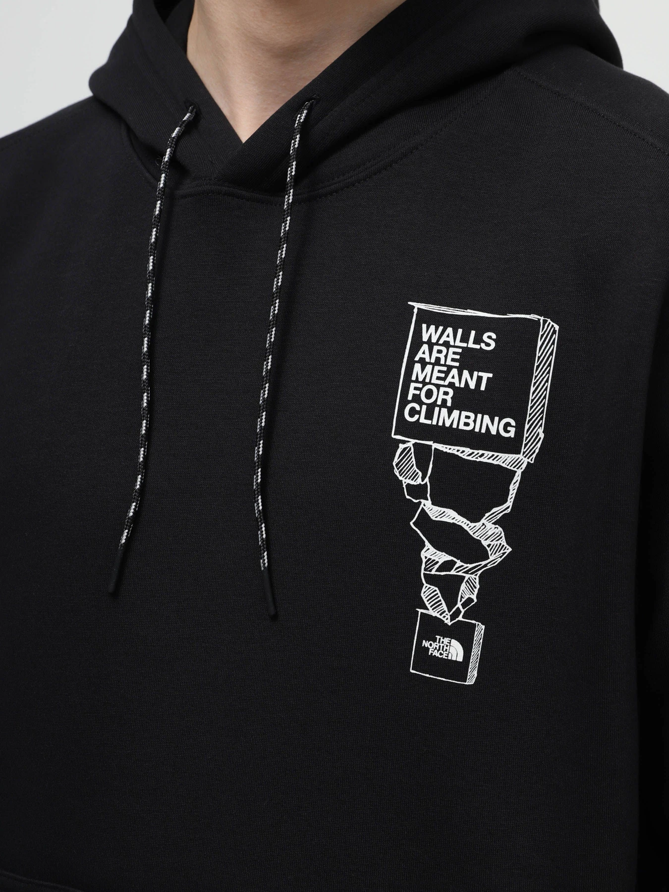 Худи и свитшоты The North Face модель NF0A87FGJK31 Худи и свитшоты The North Face модель NF0A87FGJK31 Фото