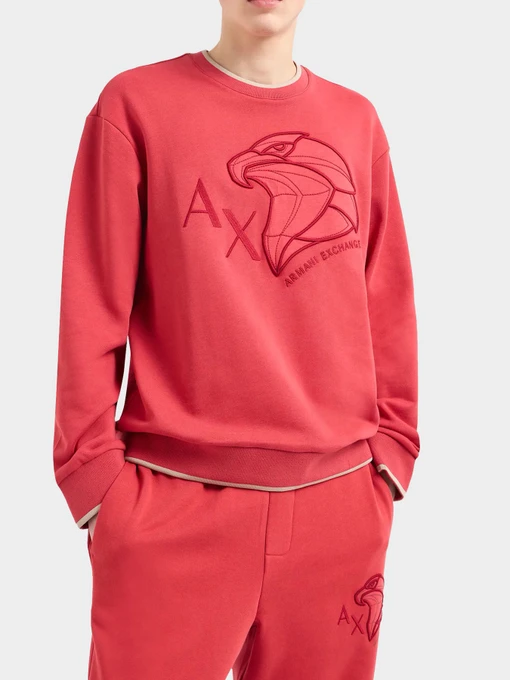 Худи и свитшоты Armani Exchange модель 3DZMHQ-ZJ9KZ-14BJ Фото