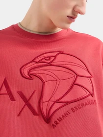 Худи и свитшоты Armani Exchange модель 3DZMHQ-ZJ9KZ-14BJ Фото
