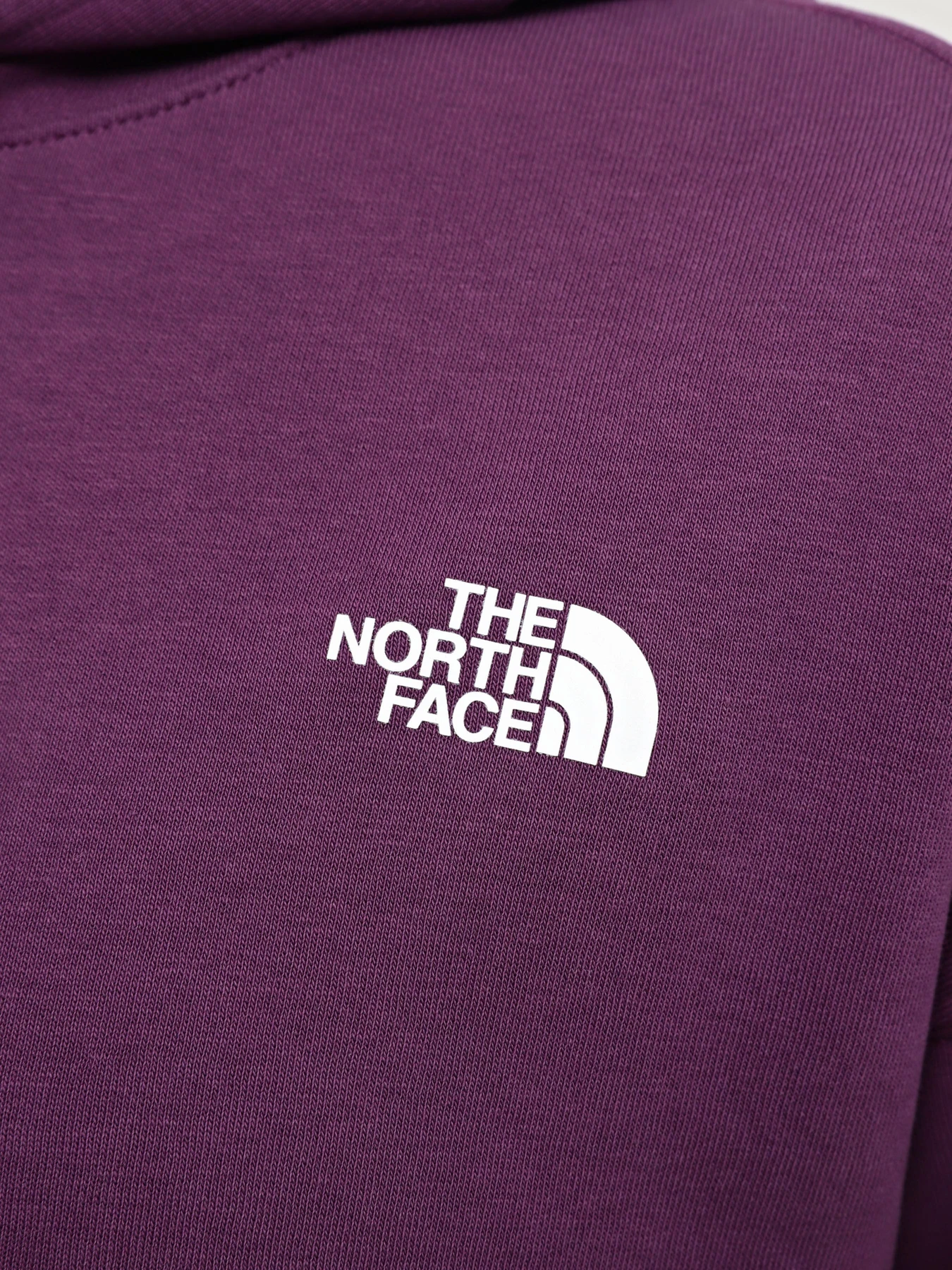 Худи и свитшоты The North Face модель NF0A880PV6V1 Фото