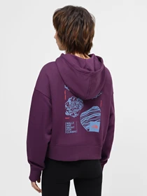 Худи и свитшоты The North Face модель NF0A880PV6V1 Фото
