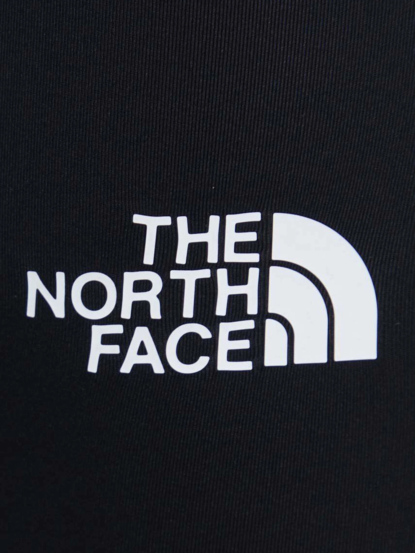 Брюки The North Face модель NF0A8844JK31 Брюки The North Face модель NF0A8844JK31 Фото
