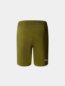 Шорты The North Face модель NF0A3S4EPIB1 Фото