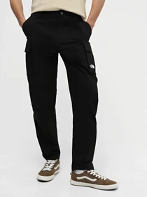 Брюки The North Face модель NF0A826JJK31 Фото