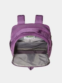Рюкзаки The North Face модель NF0A52VQTIH1 Фото