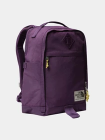 Рюкзаки The North Face модель NF0A52VQTIH1 Фото