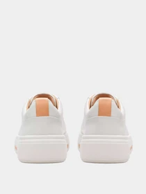 Кеды Clarks модель 26176308 Фото