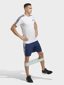 Шорты Adidas модель IB8246 Фото