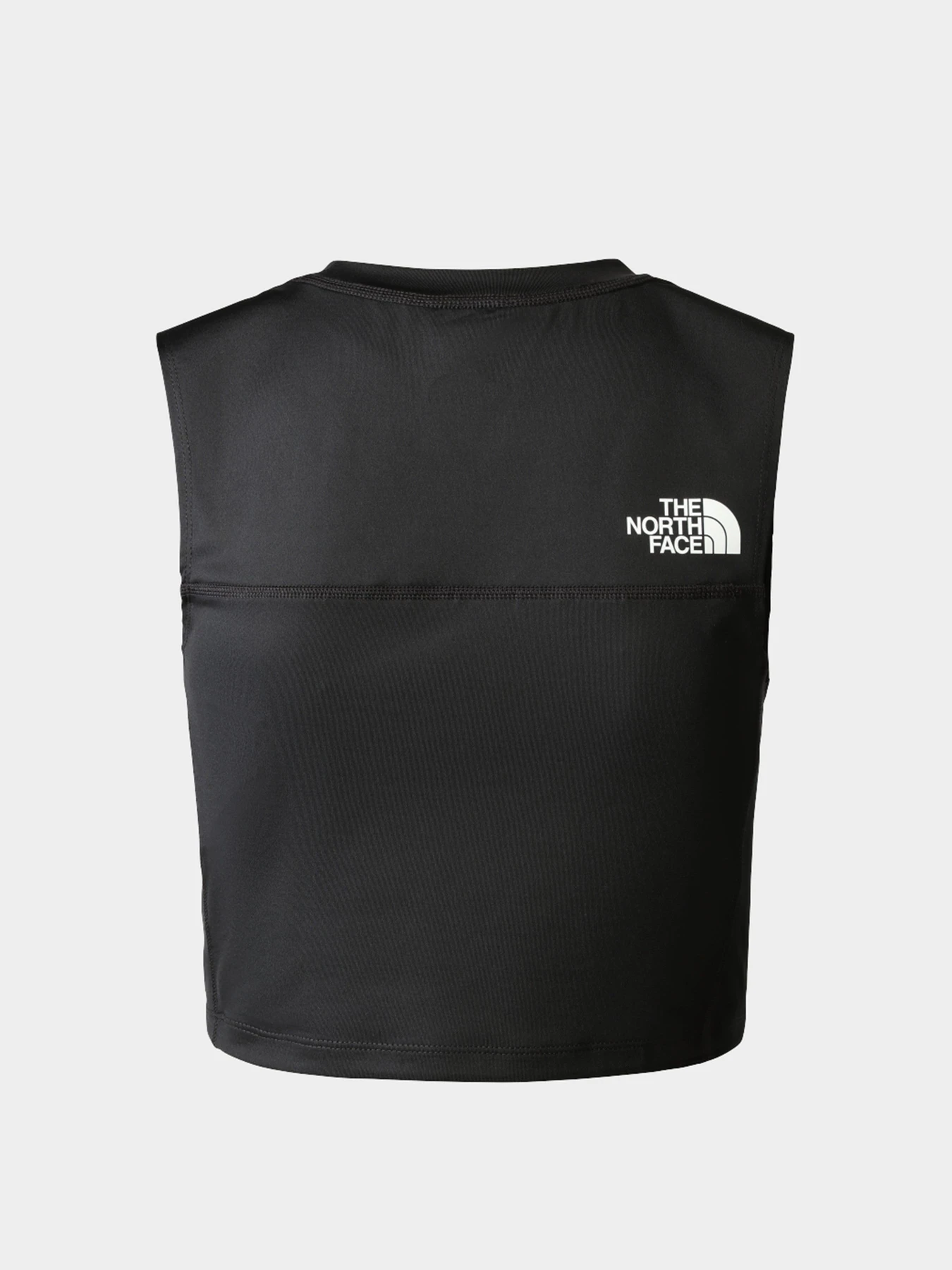 Футболки и поло The North Face модель NF0A826DJK31 Футболки и поло The North Face модель NF0A826DJK31 Фото