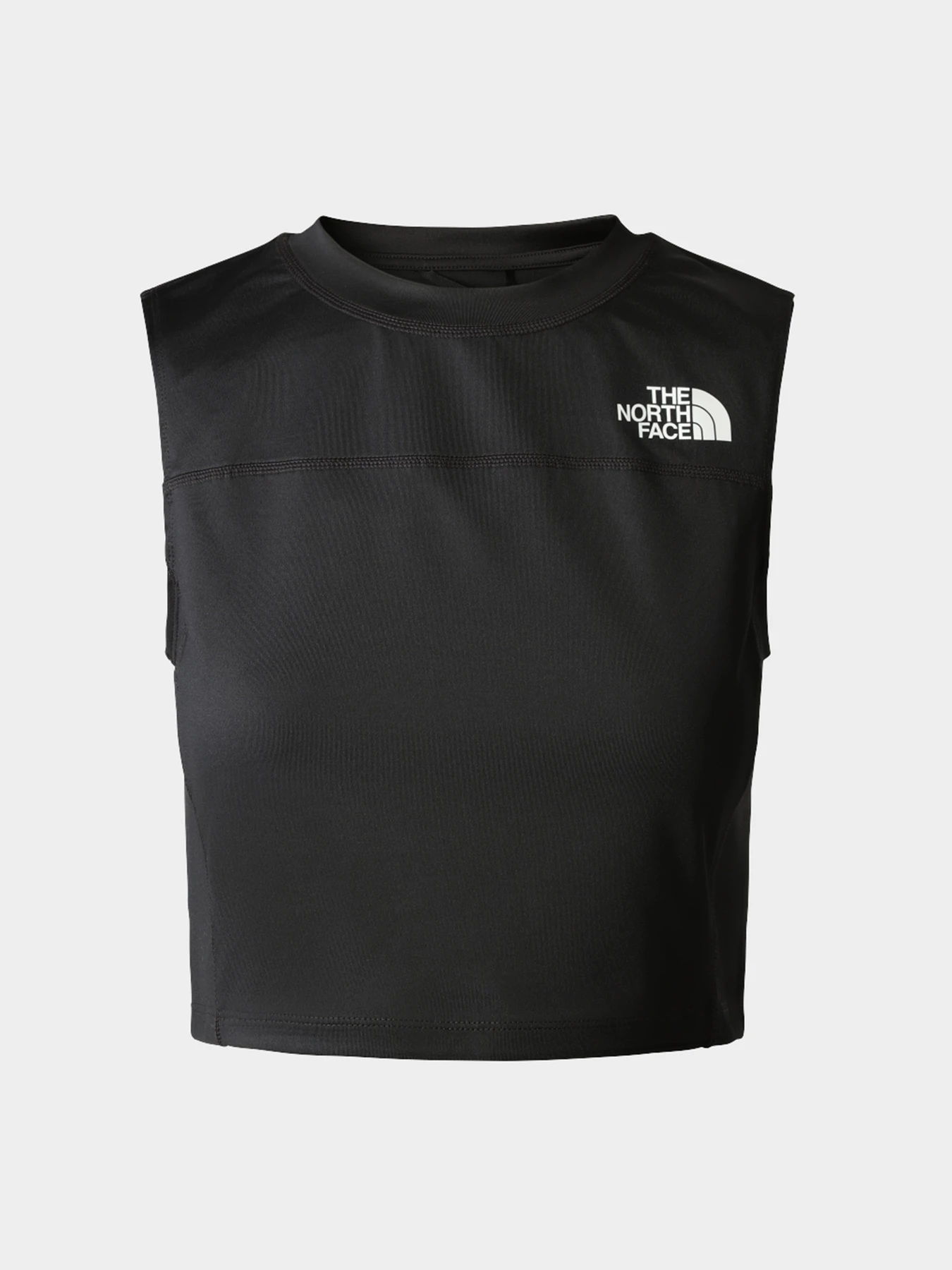 Футболки и поло The North Face модель NF0A826DJK31 Футболки и поло The North Face модель NF0A826DJK31 Фото
