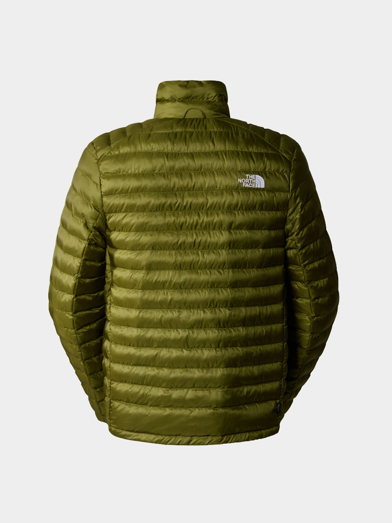 Куртки и дубленки The North Face модель NF0A85AEPIB1 Куртки и дубленки The North Face модель NF0A85AEPIB1 Фото