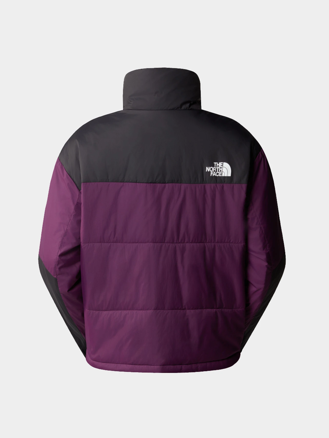 Куртки и дубленки The North Face модель NF0A879XV6V1 Куртки и дубленки The North Face модель NF0A879XV6V1 Фото