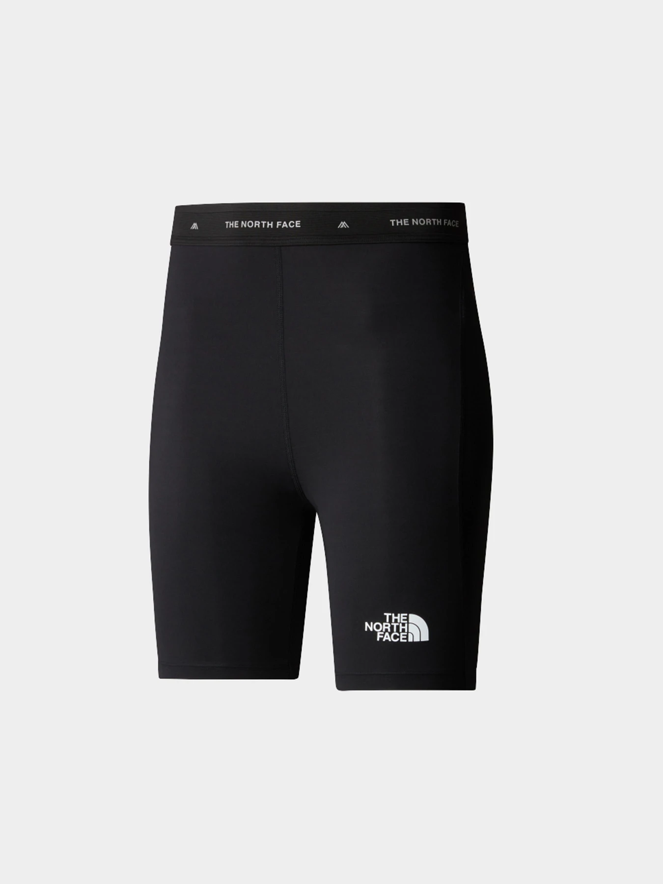 Шорты The North Face модель NF0A87B0JK31 Фото