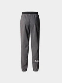 Брюки The North Face модель NF0A87G5WUO1 Фото