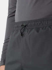 Брюки The North Face модель NF0A87J60C51 Фото