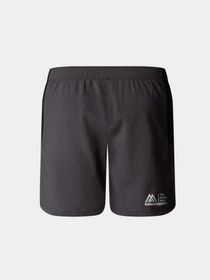 Шорты The North Face модель NF0A87JMW9O1 Фото