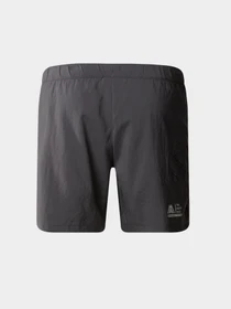 Шорты The North Face модель NF0A87JNWUO1 Фото