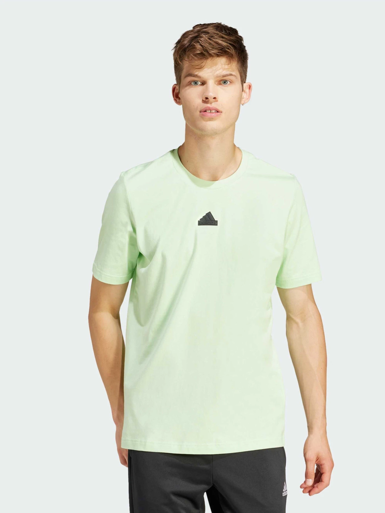 Футболки и поло Adidas модель IN6237 Футболки и поло Adidas модель IN6237 Фото