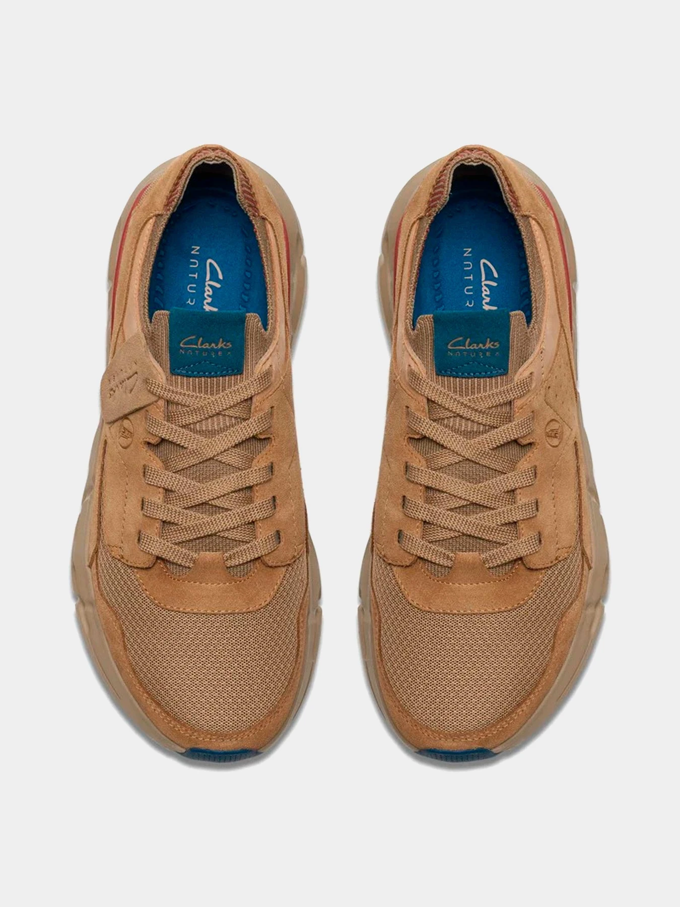Кроссовки Clarks модель 26176169 Кроссовки Clarks модель 26176169 Фото