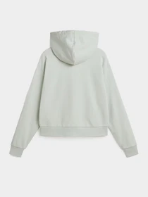 Худи и свитшоты Vans модель VN000JF6CHF1 Фото