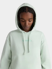 Худи и свитшоты Vans модель VN000JF6CHF1 Фото