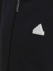 Худи и свитшоты Adidas модель HR6317 Фото