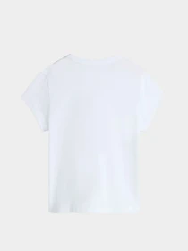 Футболки и поло Vans модель VN000GA9WHT1 Фото