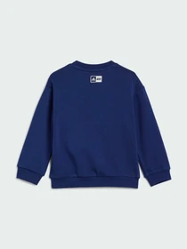 Худи и свитшоты Adidas модель IN7278 Фото