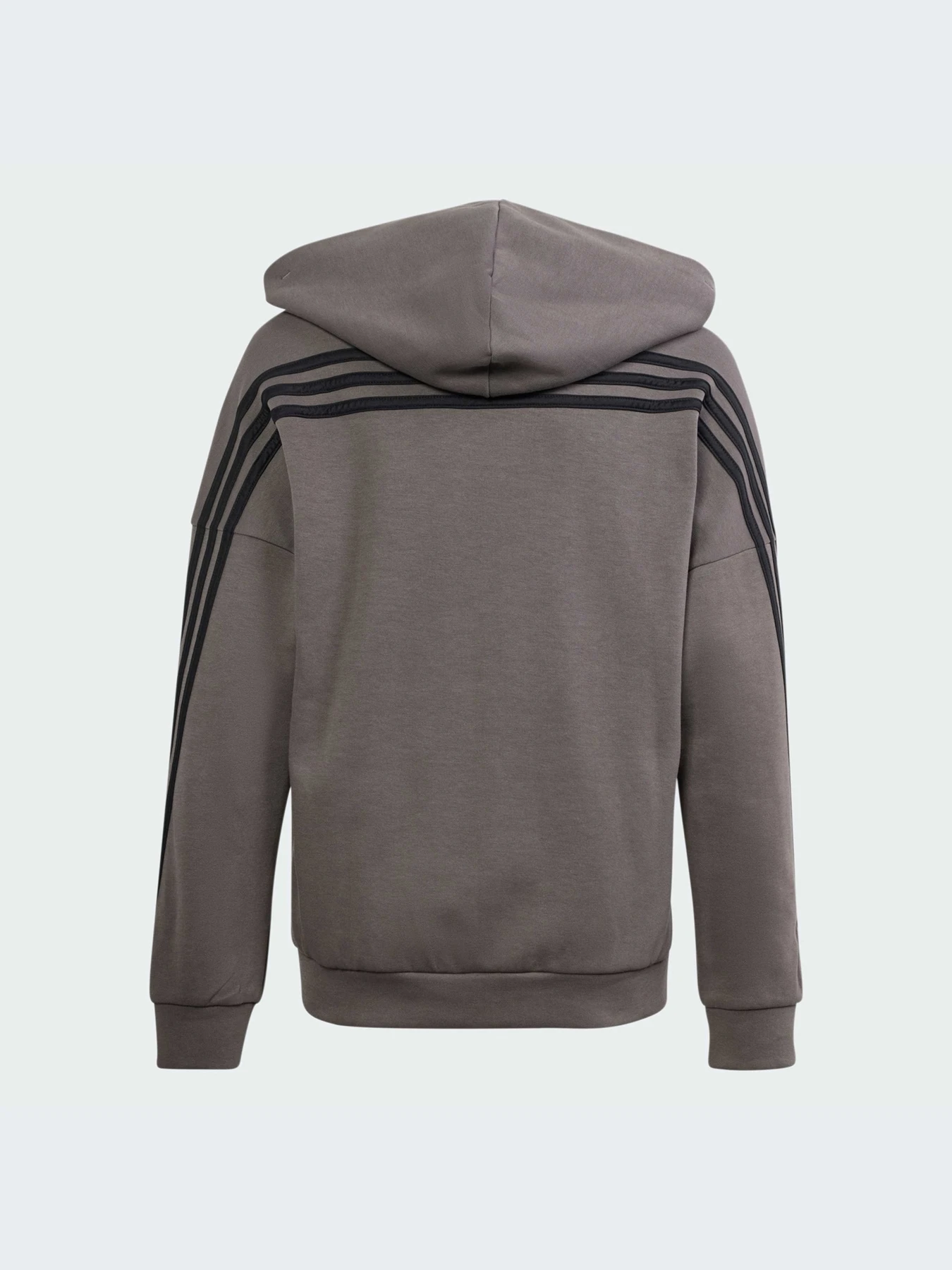 Худи и свитшоты Adidas модель IS4424 Худи и свитшоты Adidas модель IS4424 Фото