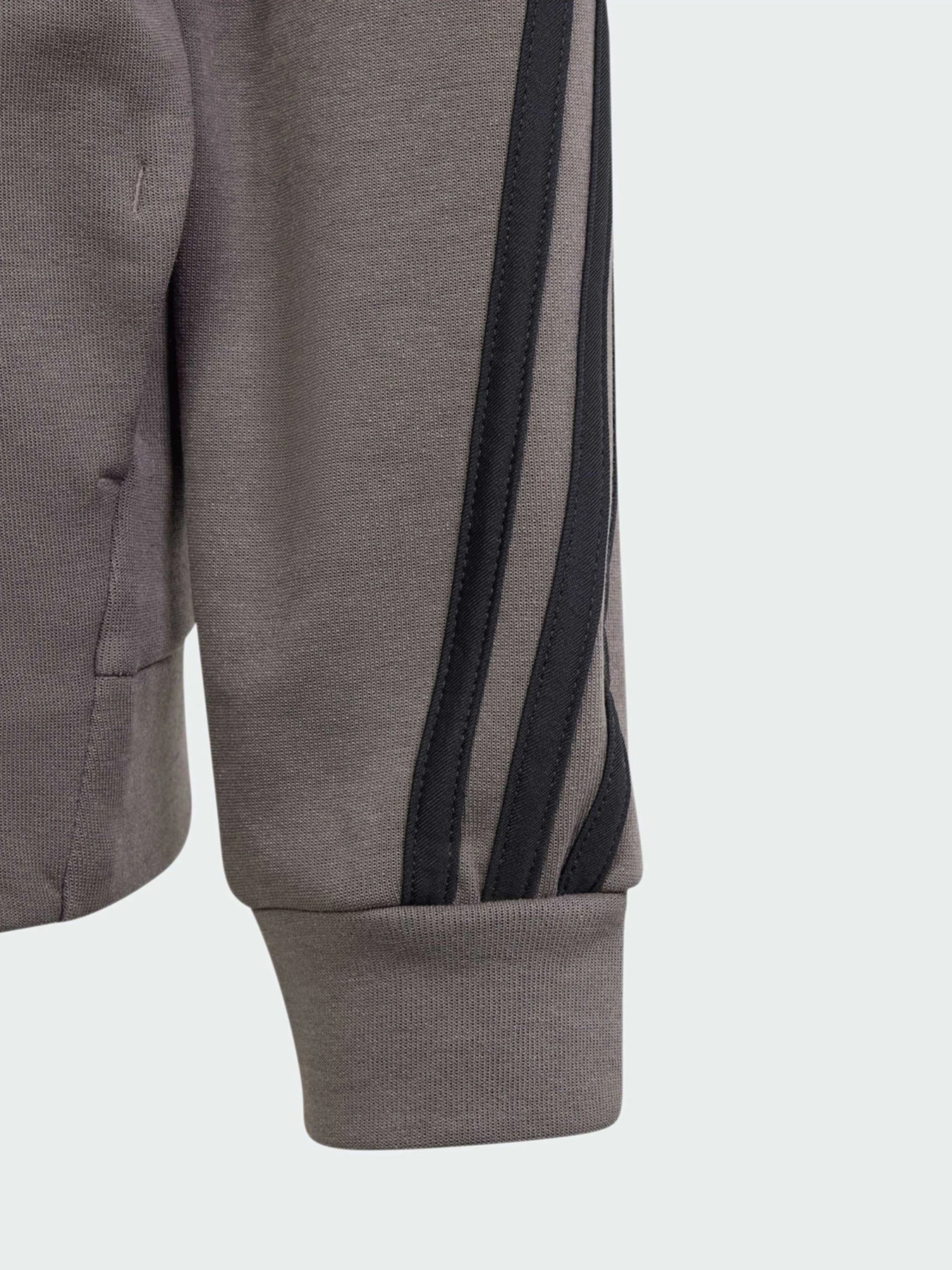 Худи и свитшоты Adidas модель IS4424 Худи и свитшоты Adidas модель IS4424 Фото