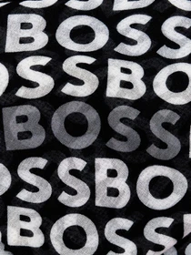 Шарфы и платки Boss модель 50508626-001 Фото