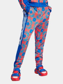 Брюки Adidas модель IQ4492 Фото