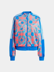 Худи и свитшоты Adidas модель IQ4496 Фото