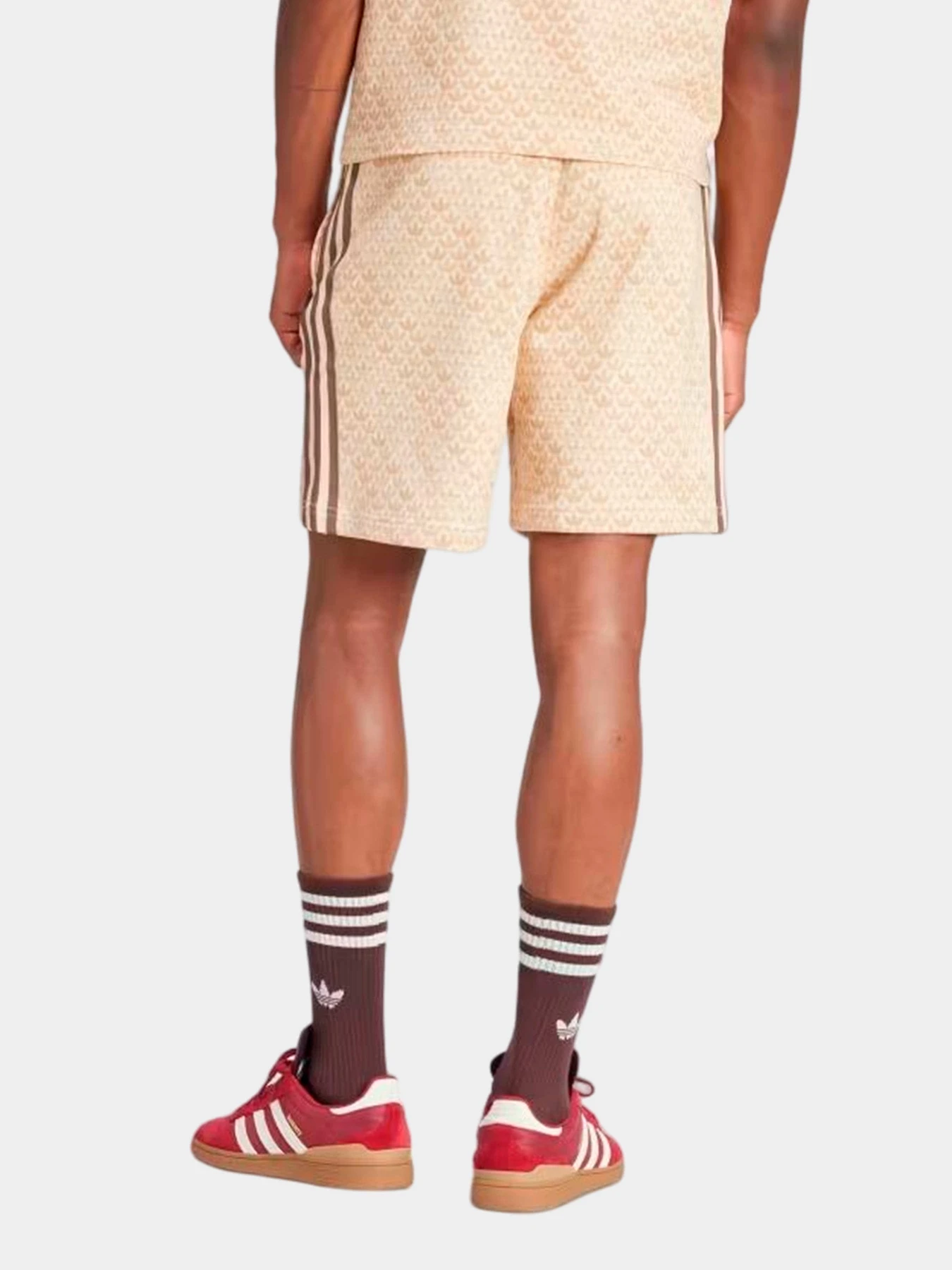Шорты Adidas модель IS0249 Шорты Adidas модель IS0249 Фото
