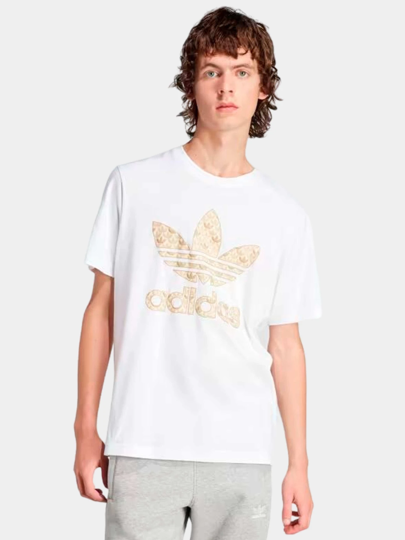 Футболки и поло Adidas модель IS0261 Футболки и поло Adidas модель IS0261 Фото