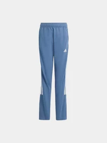 Брюки Adidas модель IS4349 Фото
