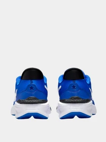 Кроссовки NIKE модель DX7615-400 Фото