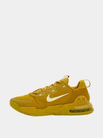 Кроссовки NIKE модель DM0829-700 Фото