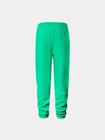 Брюки The North Face модель NF0A7ZJBPO81 Фото