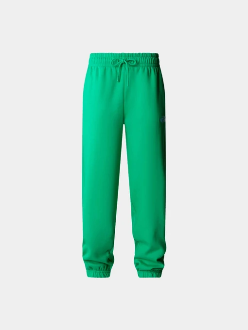 Брюки The North Face модель NF0A7ZJFPO81 Фото