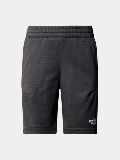 Шорты The North Face модель NF0A87B7MN81 Фото