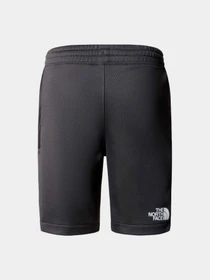 Шорты The North Face модель NF0A87B7MN81 Фото