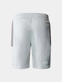 Шорты The North Face модель NF0A87B7RO51 Фото