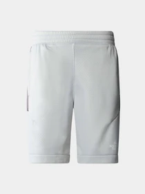 Шорты The North Face модель NF0A87B7RO51 Фото