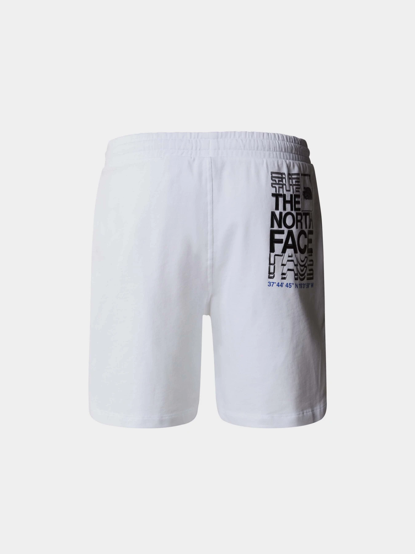 Шорты The North Face модель NF0A87ECFN41 Фото