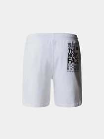 Шорты The North Face модель NF0A87ECFN41 Фото