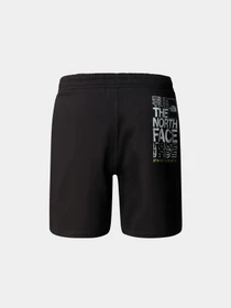 Шорты The North Face модель NF0A87ECJK31 Фото
