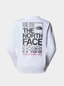 Худи и свитшоты The North Face модель NF0A87EFFN41 Фото