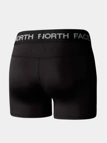 Шорты The North Face модель NF0A87JZJK31 Фото