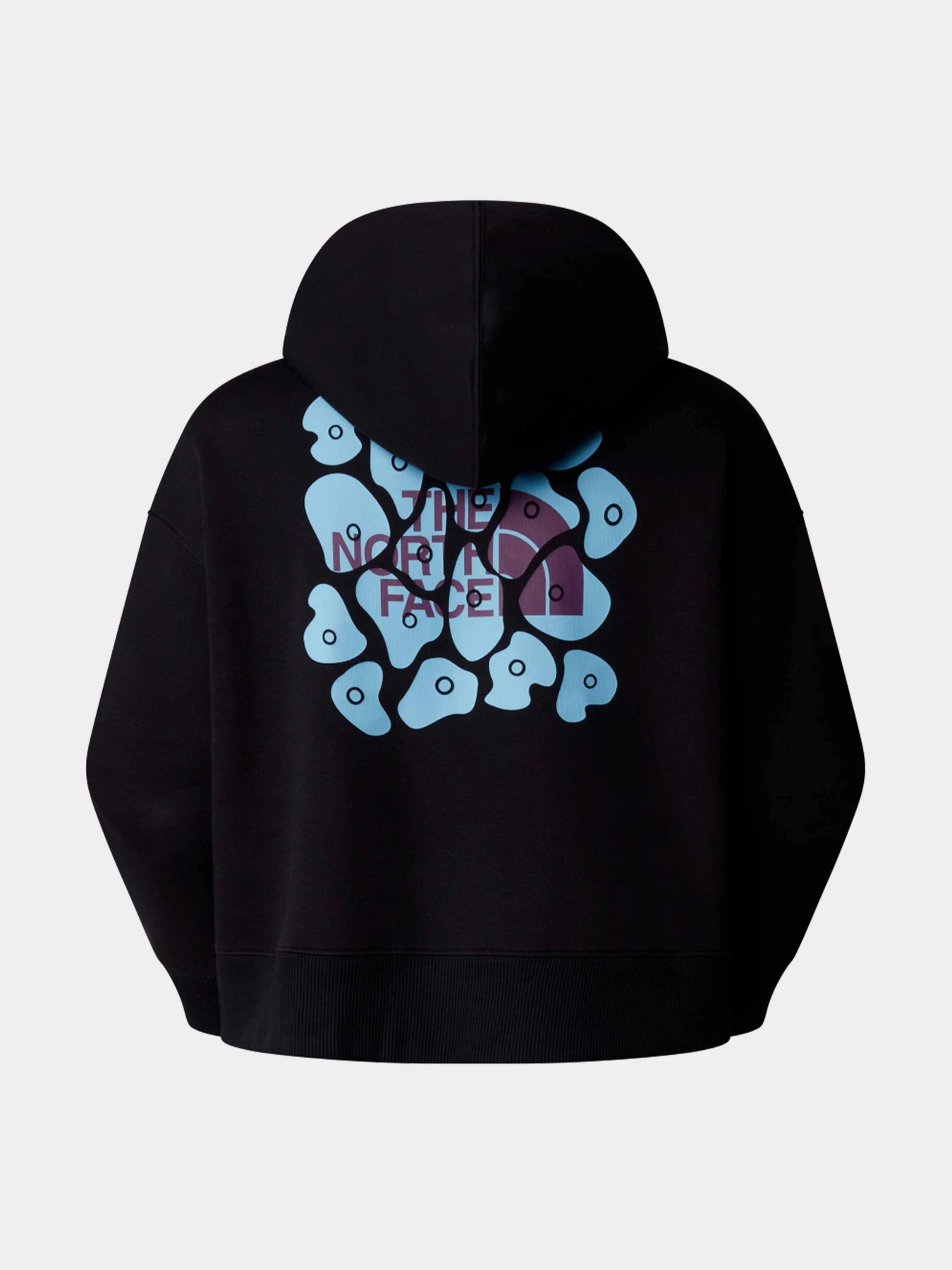 Худи и свитшоты The North Face модель NF0A87FKJK31 Фото